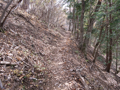 20181126hike (219)